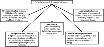 Ultra-High-Field MRI in the Diagnosis and Management of Gliomas: A Systematic Review